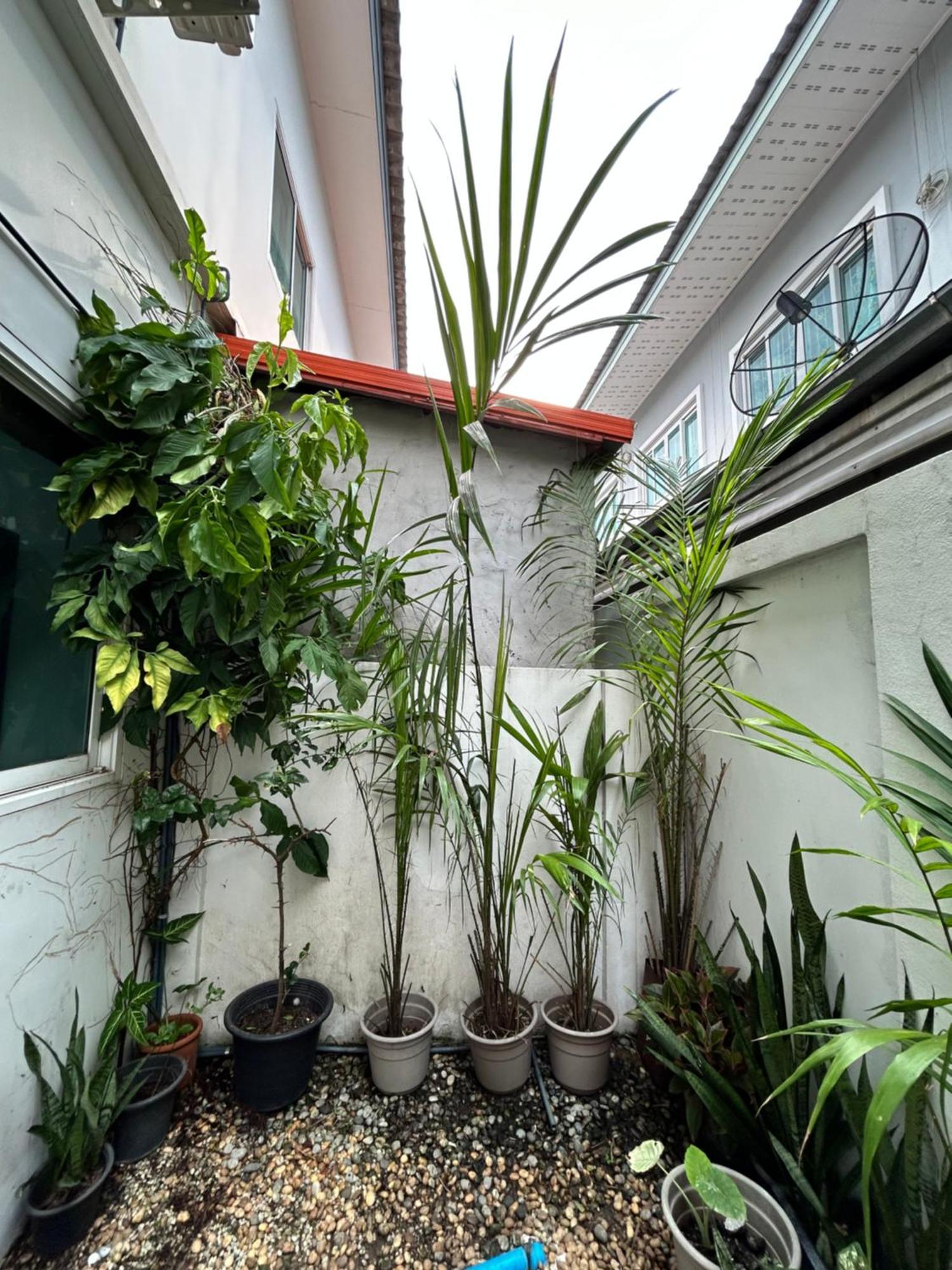 ไนซ์สเตย์ เฮาส์ แอทคลองสาม รังสิต คลองหลวง ปทุมธานี Nice Stay House At Khlong Sam - Rangsit - Khlong Luang - Phathumthani Екстер'єр фото